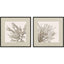 Paragon Taupe Coral S/2 Brown 26 X 26 X 1 Wall Art