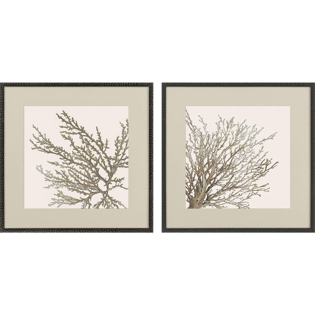 Paragon Taupe Coral S/2 Brown 26 X 26 X 1 Wall Art