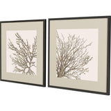 Paragon Taupe Coral S/2 Brown 26 X 26 X 1 Wall Art