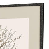 Paragon Taupe Coral S/2 Brown 26 X 26 X 1 Wall Art