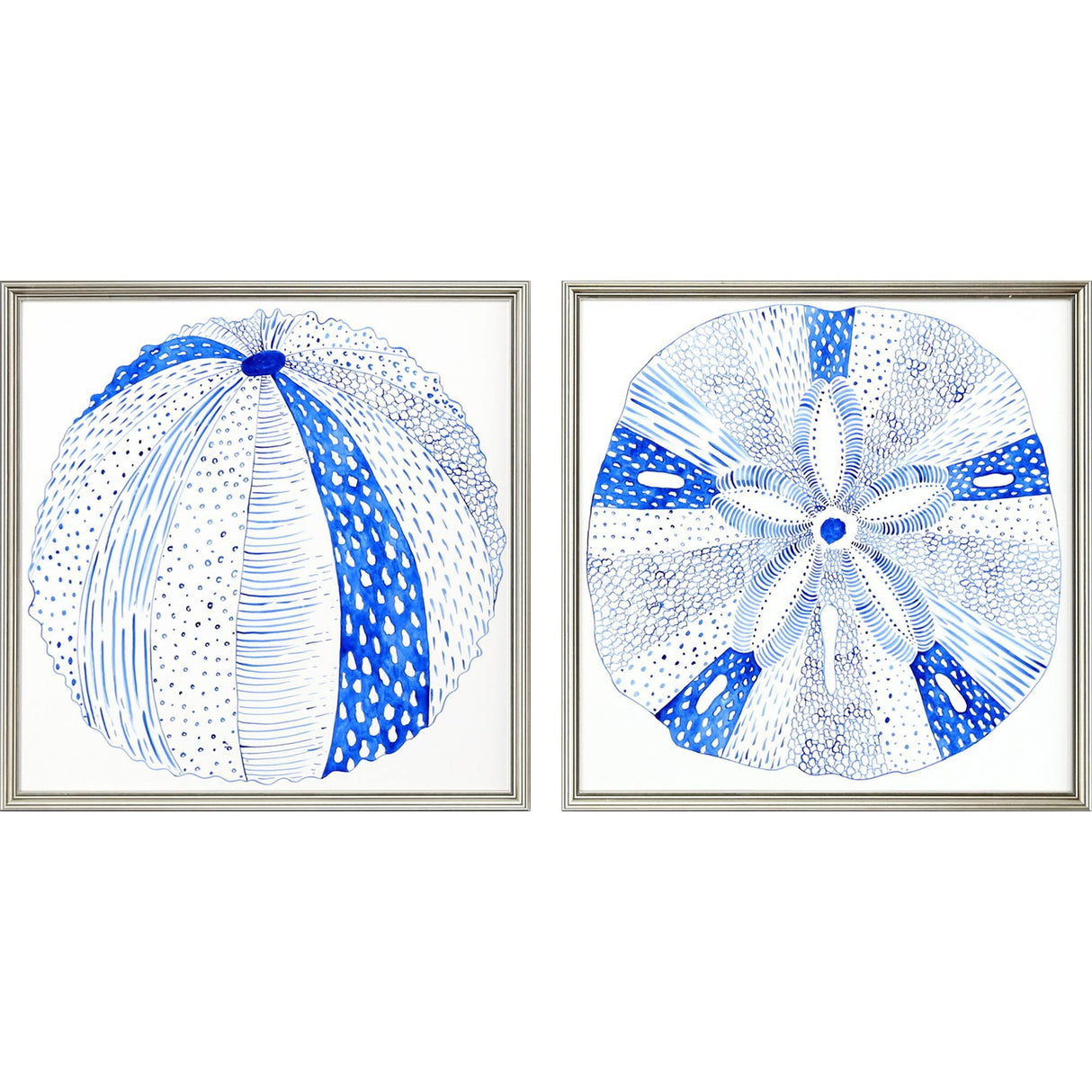 Paragon Indigo Shell II S/2 Blue 23 X 23 X 1 Wall Art