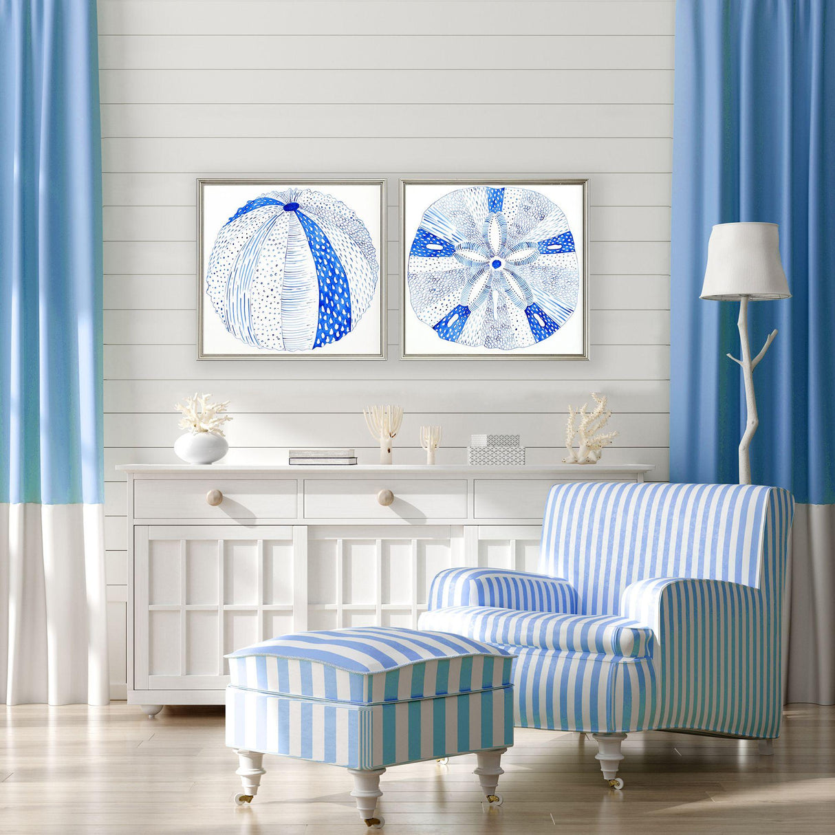 Paragon Indigo Shell II S/2 Blue 23 X 23 X 1 Wall Art