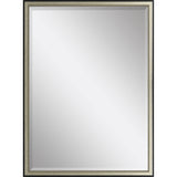 Paragon #424 24 x 36 Beveled Metallic 38 X 26 X 1 Wall Mirror