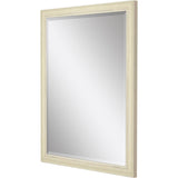 Paragon #624 24 x 36 Beveled Beige 40 X 28 X 2 Wall Mirror
