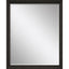 Paragon #781 30 x 40 Beveled Brown 44 X 34 X 3 Wall Mirror