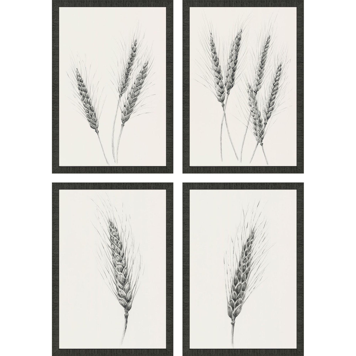 Paragon Wavering Wheat S/4 Black 26 X 18 X 2 Wall Art