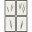 Paragon Wavering Wheat S/4 Black 26 X 18 X 2 Wall Art