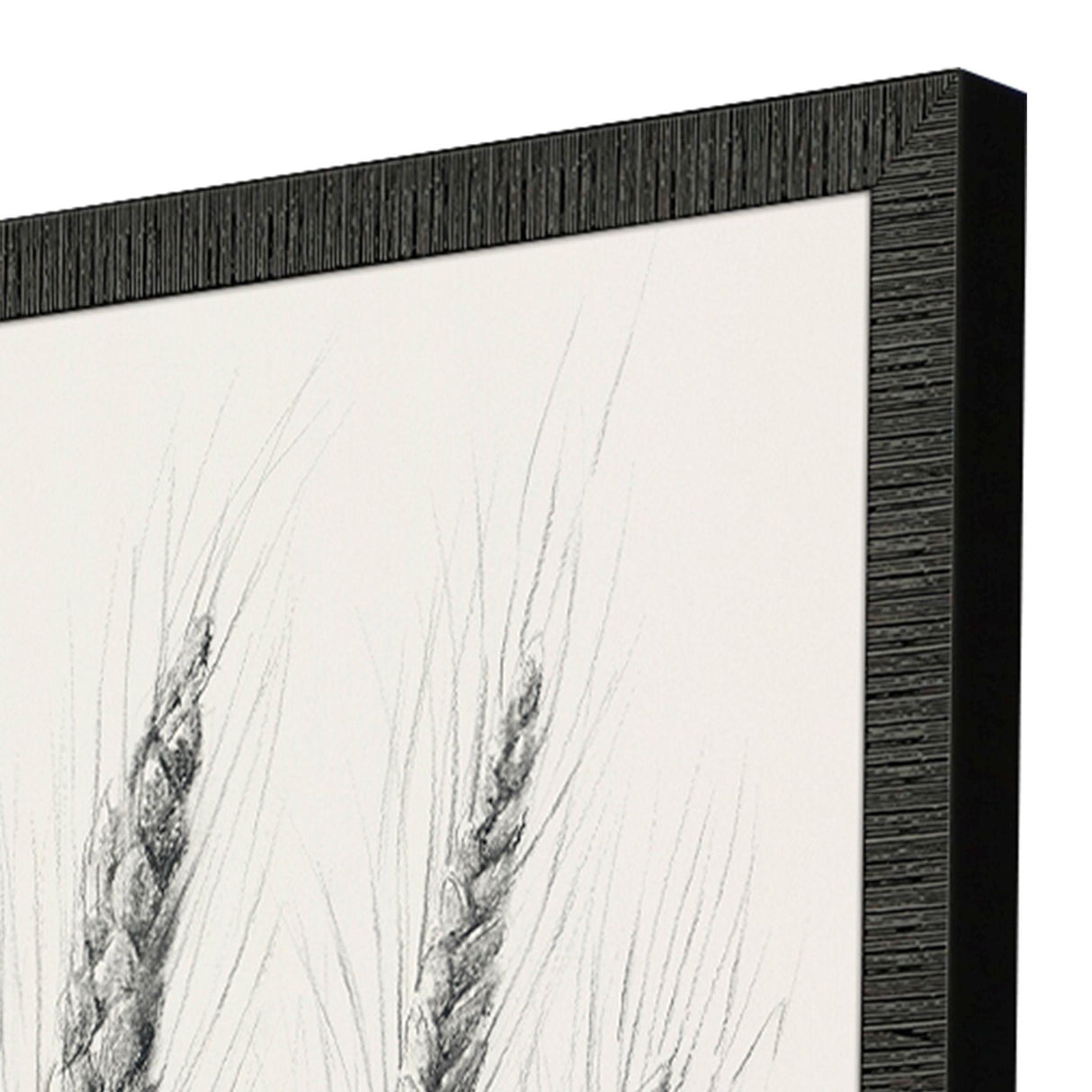 Paragon Wavering Wheat S/4 Black 26 X 18 X 2 Wall Art