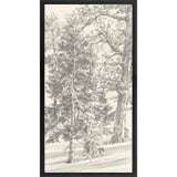 Paragon Tree Study II Black 51 X 27 X 3 Wall Art