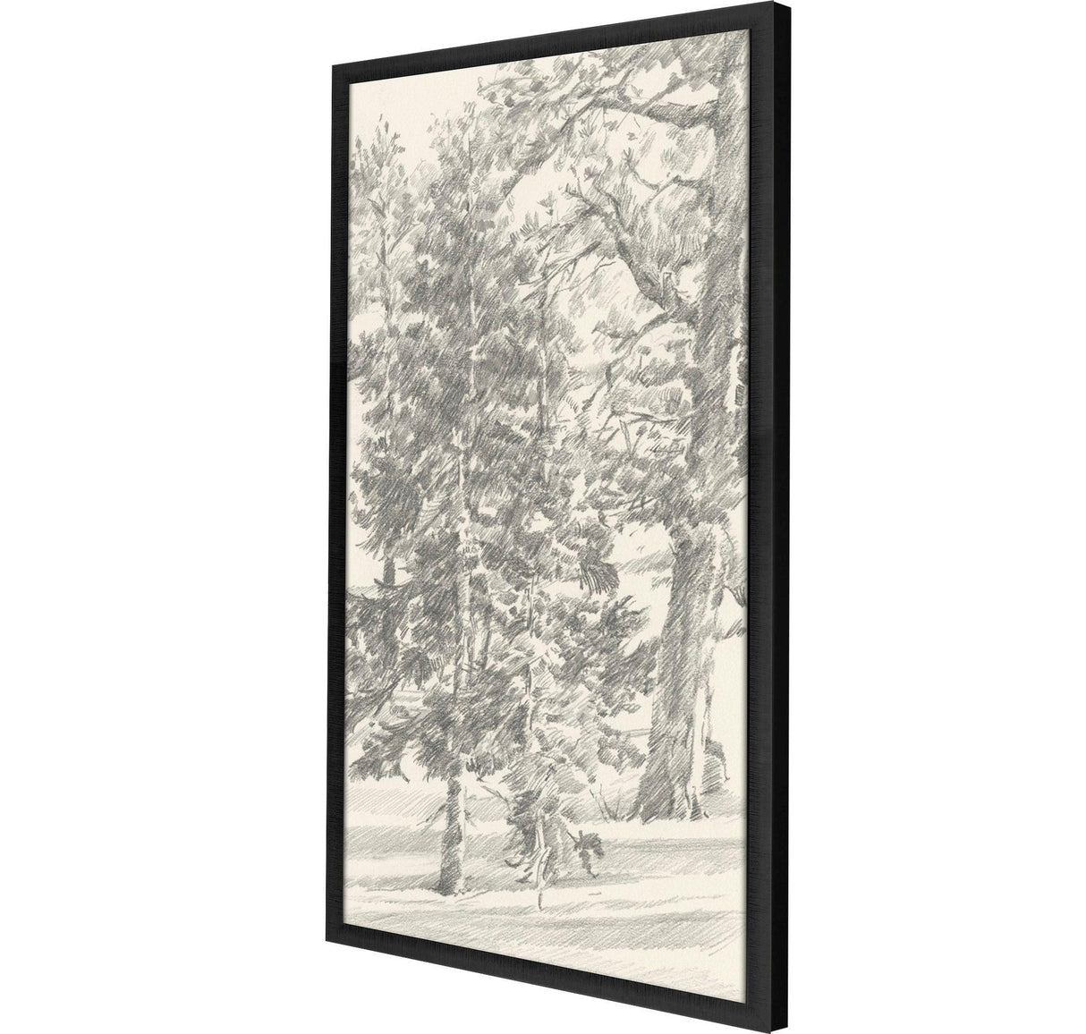Paragon Tree Study II Black 51 X 27 X 3 Wall Art