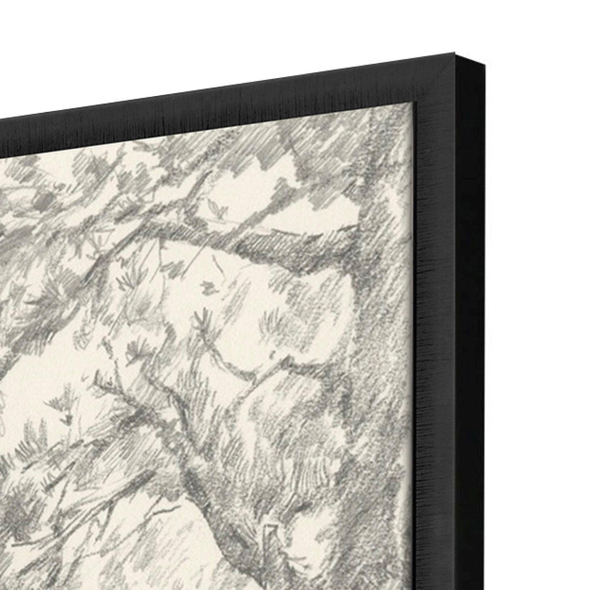 Paragon Tree Study II Black 51 X 27 X 3 Wall Art