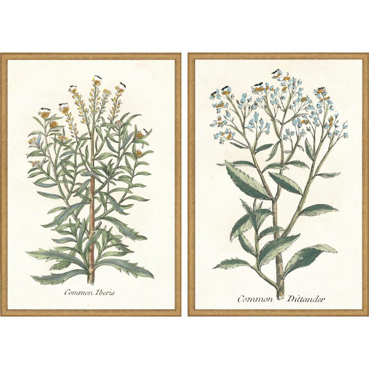 Paragon Botanical Plants I S/2 Green 31 X 21 X 2 Wall Art