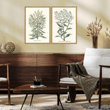 Paragon Botanical Plants I S/2 Green 31 X 21 X 2 Wall Art