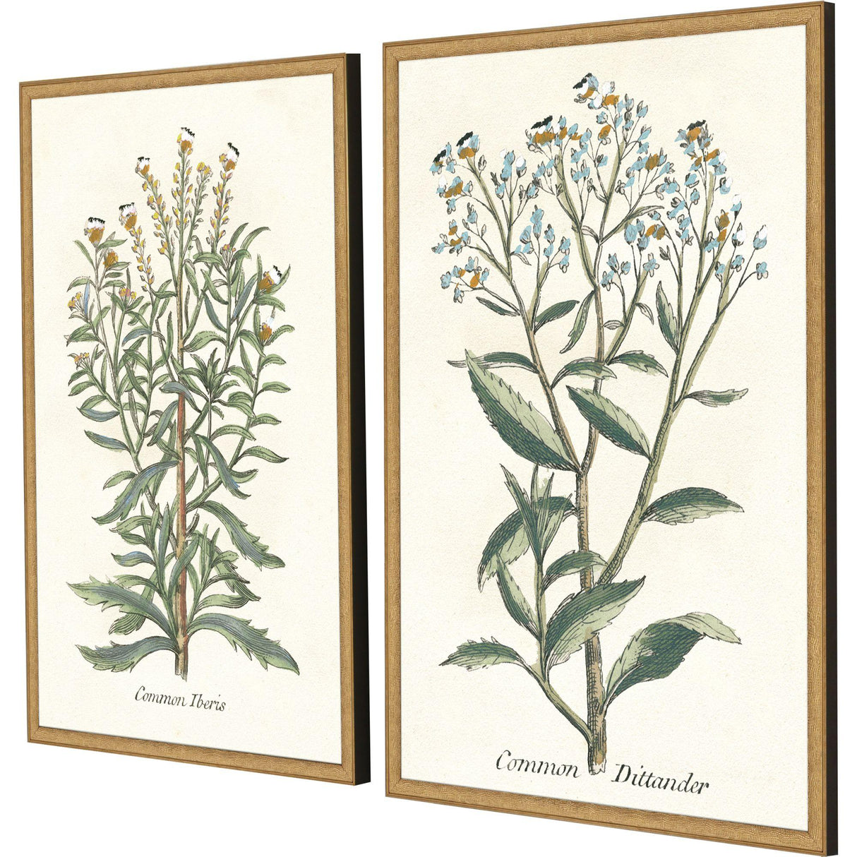 Paragon Botanical Plants I S/2 Green 31 X 21 X 2 Wall Art