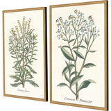 Paragon Botanical Plants I S/2 Green 31 X 21 X 2 Wall Art