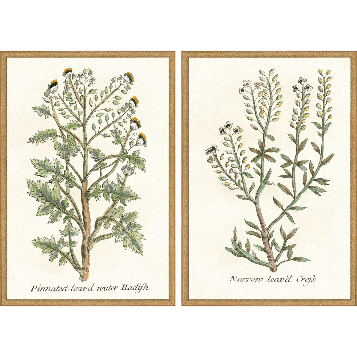 Paragon Botanical Plants II S/2 Green 31 X 21 X 2 Wall Art