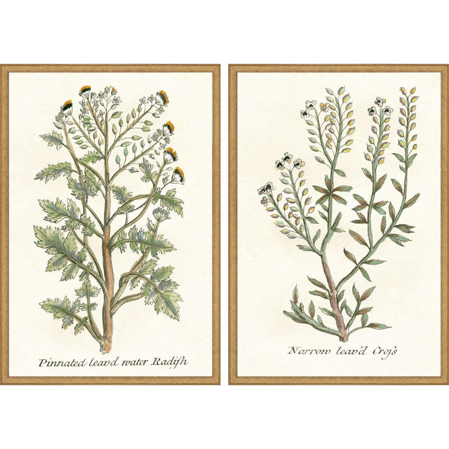 Paragon Botanical Plants II S/2 Green 31 X 21 X 2 Wall Art