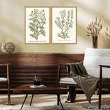 Paragon Botanical Plants II S/2 Green 31 X 21 X 2 Wall Art