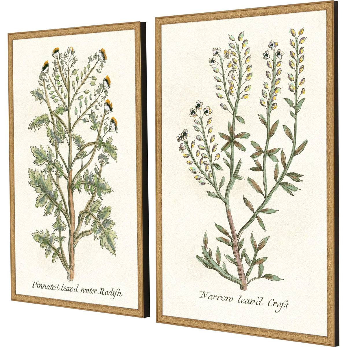 Paragon Botanical Plants II S/2 Green 31 X 21 X 2 Wall Art