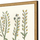 Paragon Botanical Plants II S/2 Green 31 X 21 X 2 Wall Art