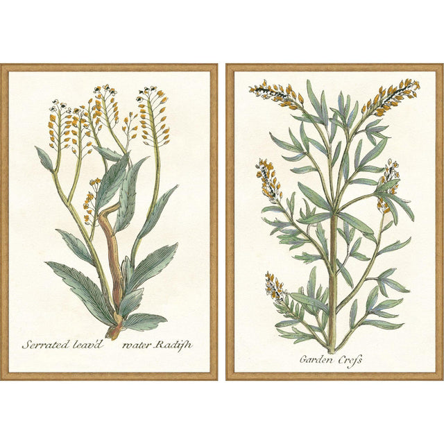 Paragon Botanical Plants III S/2 Green 31 X 21 X 2 Wall Art