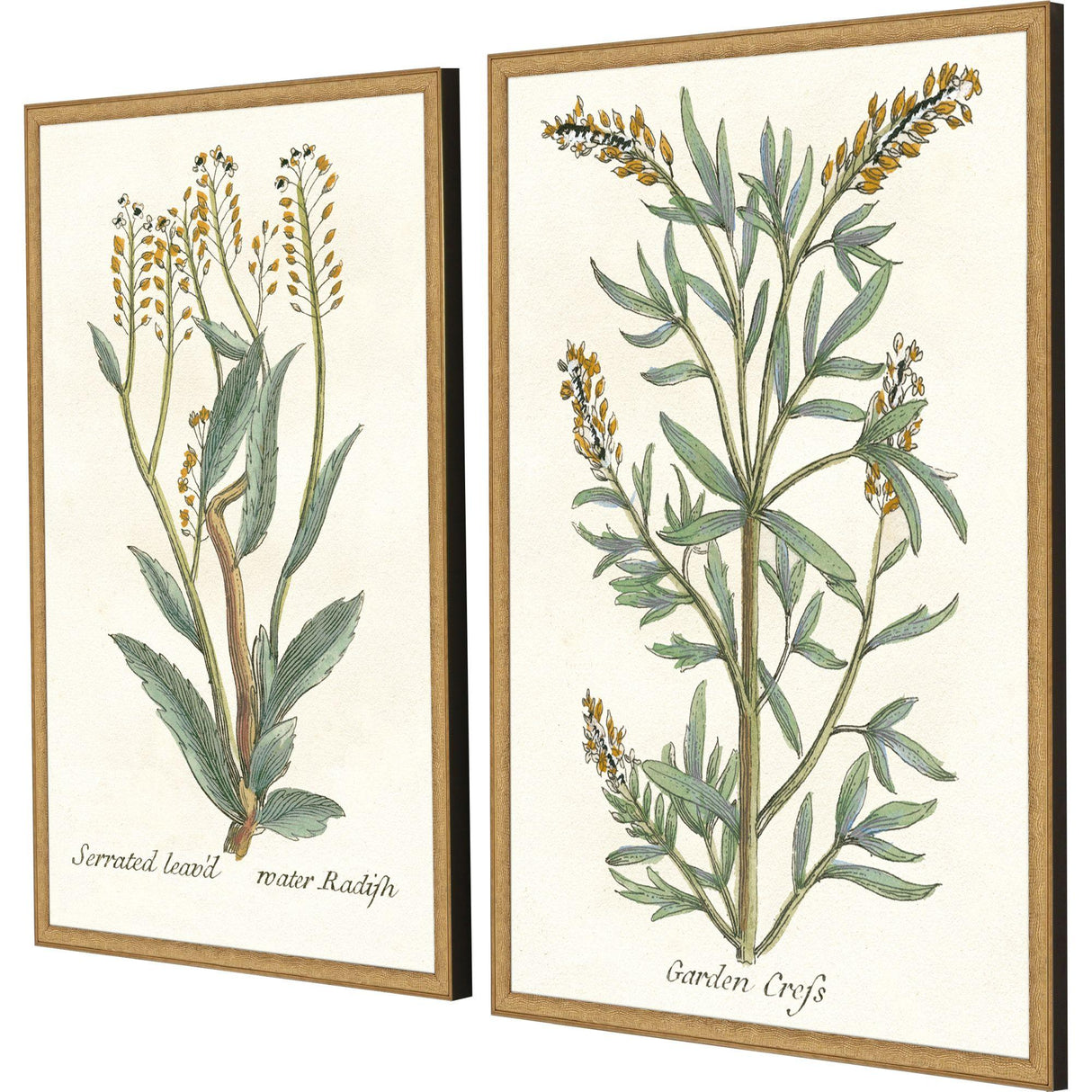 Paragon Botanical Plants III S/2 Green 31 X 21 X 2 Wall Art