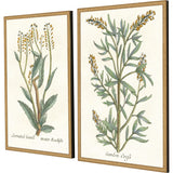 Paragon Botanical Plants III S/2 Green 31 X 21 X 2 Wall Art