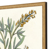 Paragon Botanical Plants III S/2 Green 31 X 21 X 2 Wall Art