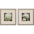 Paragon Hydrangeas on Black S/2 White 19 X 19 X 1 Wall Art