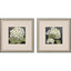 Paragon Hydrangeas on Black S/2 White 19 X 19 X 1 Wall Art