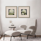 Paragon Hydrangeas on Black S/2 White 19 X 19 X 1 Wall Art