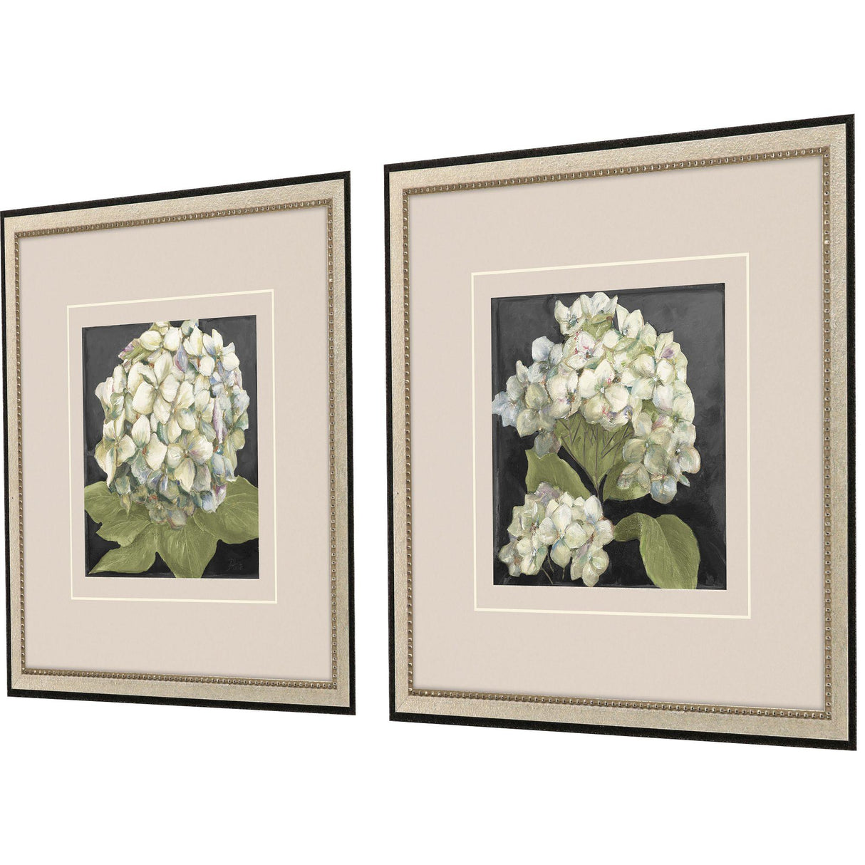 Paragon Hydrangeas on Black S/2 White 19 X 19 X 1 Wall Art