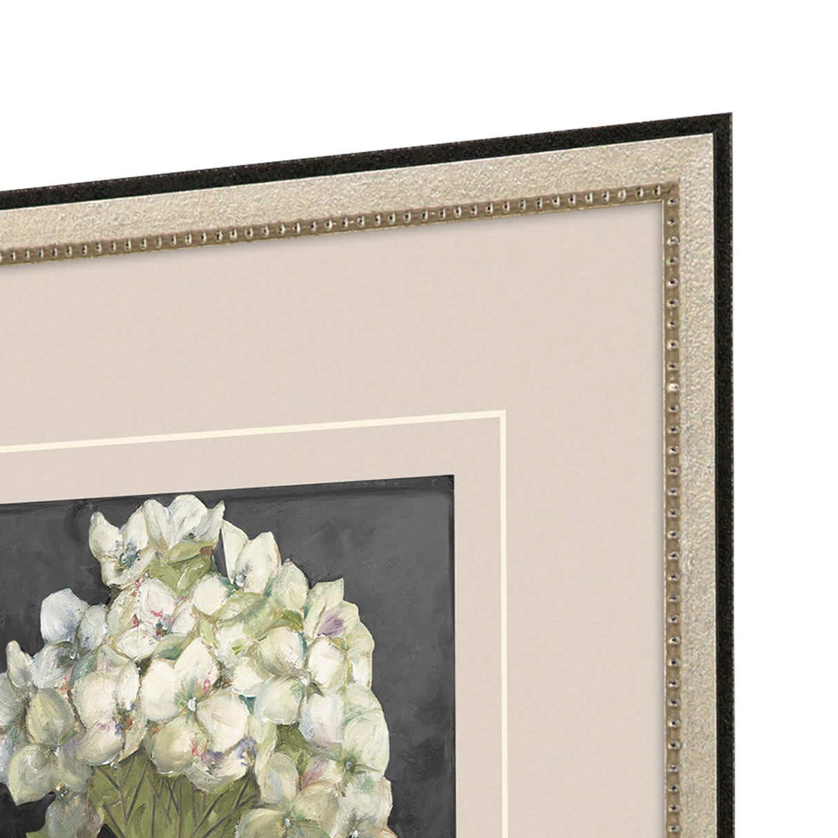 Paragon Hydrangeas on Black S/2 White 19 X 19 X 1 Wall Art