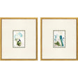 Paragon Child's Play S/2 Blue 17 X 15 X 1 Wall Art