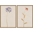 Paragon Wild Flourish I S/2 Multi 31 X 21 X 2 Wall Art