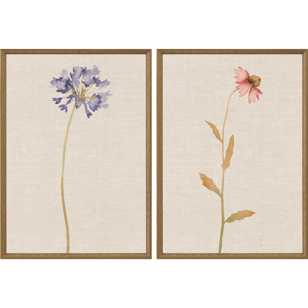 Paragon Wild Flourish I S/2 Multi 31 X 21 X 2 Wall Art