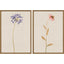 Paragon Wild Flourish I S/2 Multi 31 X 21 X 2 Wall Art
