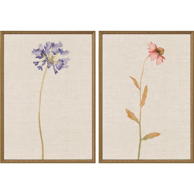 Paragon Wild Flourish I S/2 Multi 31 X 21 X 2 Wall Art