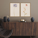 Paragon Wild Flourish I S/2 Multi 31 X 21 X 2 Wall Art