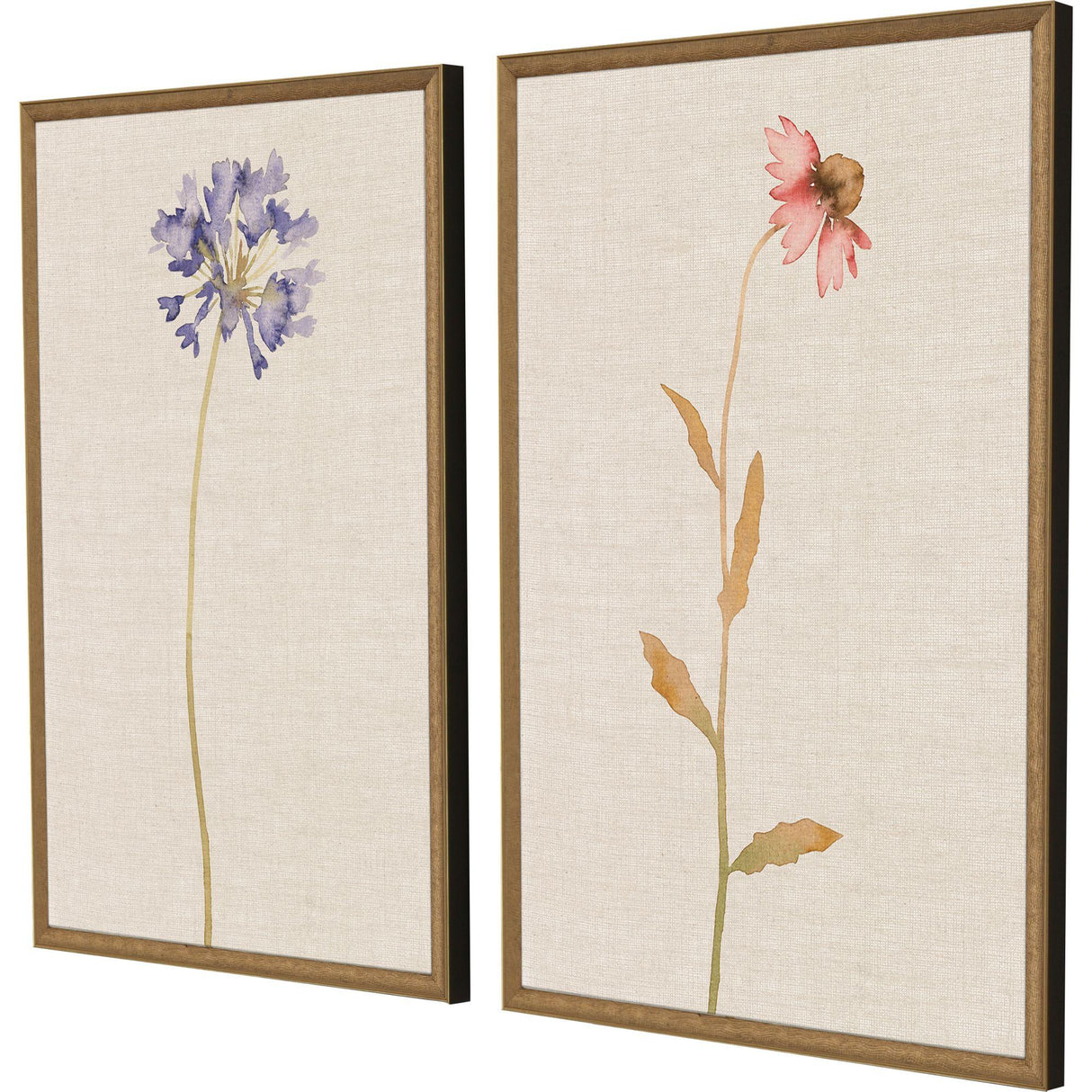 Paragon Wild Flourish I S/2 Multi 31 X 21 X 2 Wall Art
