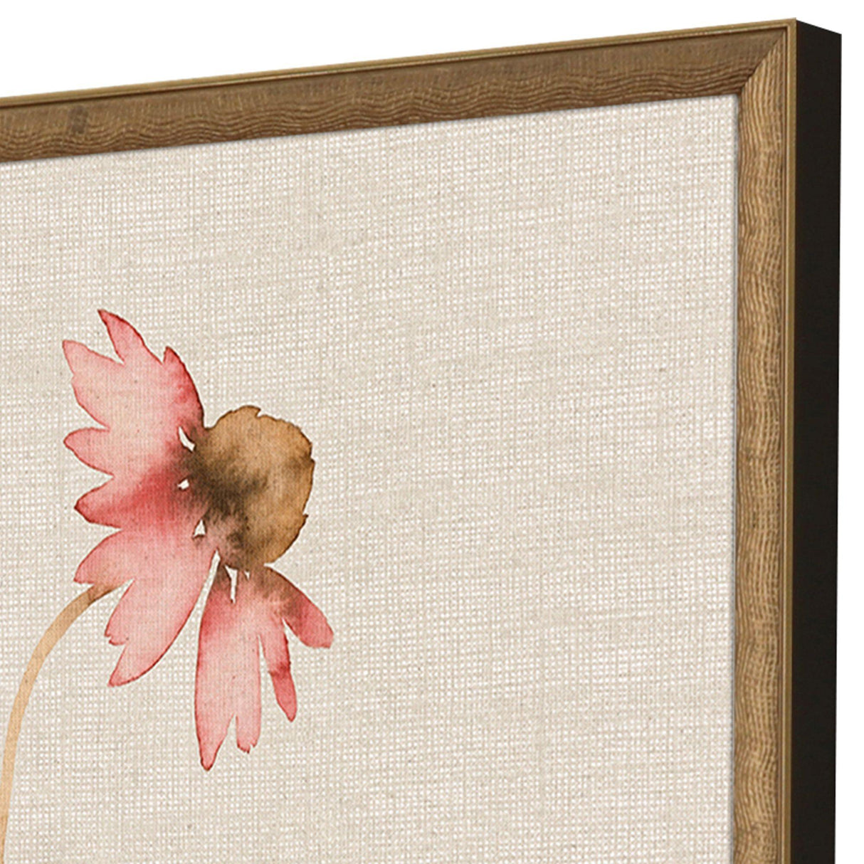 Paragon Wild Flourish I S/2 Multi 31 X 21 X 2 Wall Art