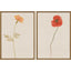 Paragon Wild Flourish II S/2 Multi 31 X 21 X 2 Wall Art