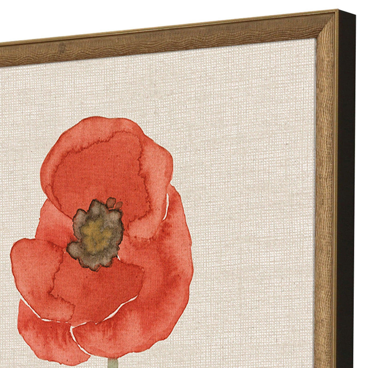 Paragon Wild Flourish II S/2 Multi 31 X 21 X 2 Wall Art