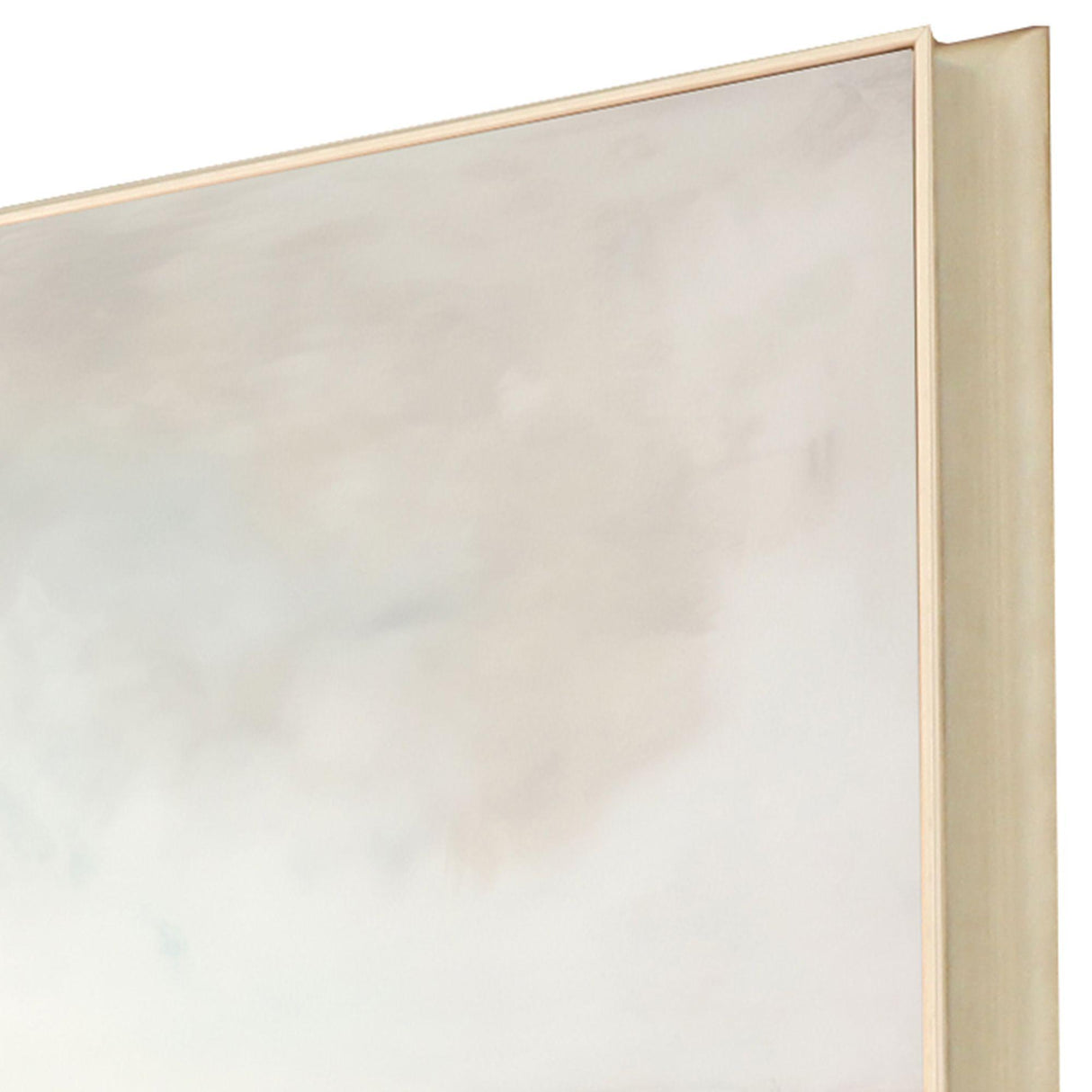 Paragon Observe the Beauty II Pink 31 X 31 X 3 Wall Art