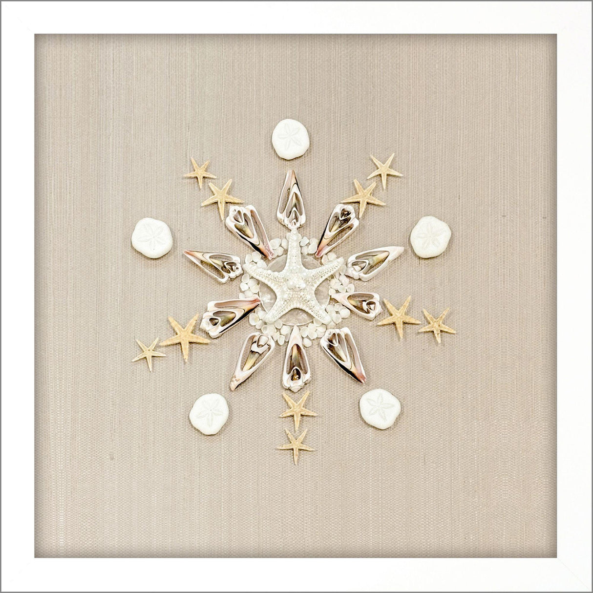 Paragon Caparazon II Brown 20 X 20 X 3 Wall Art