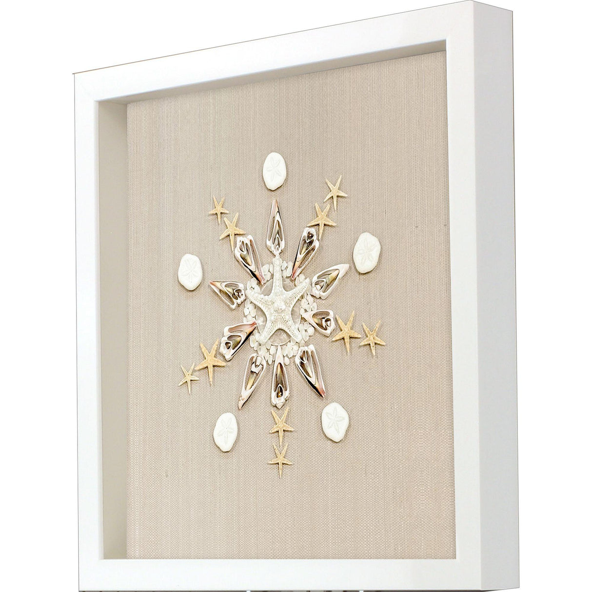 Paragon Caparazon II Brown 20 X 20 X 3 Wall Art