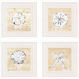 Paragon Ocean Gems S/4 White 19 X 19 X 2 Wall Art