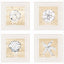 Paragon Ocean Gems S/4 White 19 X 19 X 2 Wall Art