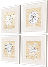 Paragon Ocean Gems S/4 White 19 X 19 X 2 Wall Art