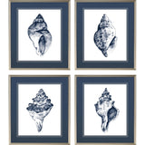 Paragon Quiet Conch S/4 Blue 27 X 23 X 1 Wall Art